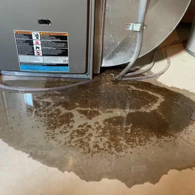 Appliance Leak Cleanup in Conway, FL